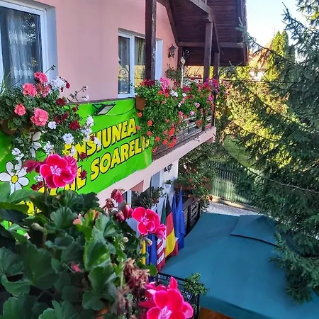 Gasthof Pensiunea Agroturistica Piscul Soarelui 3*