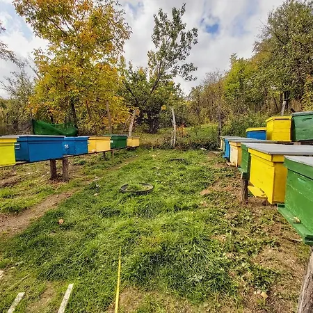 Pensiunea Agroturistica Piscul Soarelui 3* Campulung