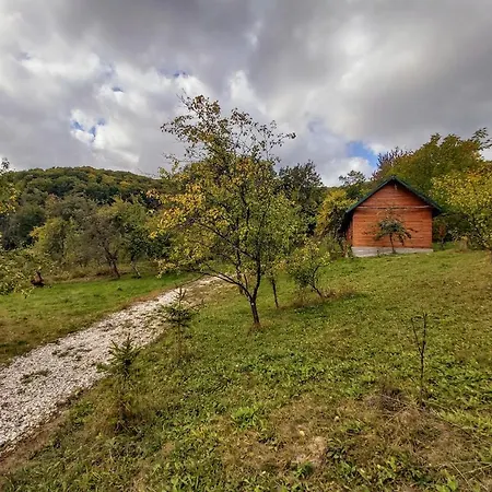 Pensiunea Agroturistica Piscul Soarelui Gasthof Campulung