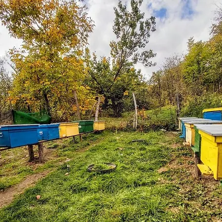 Pensiunea Agroturistica Piscul Soarelui Gasthof